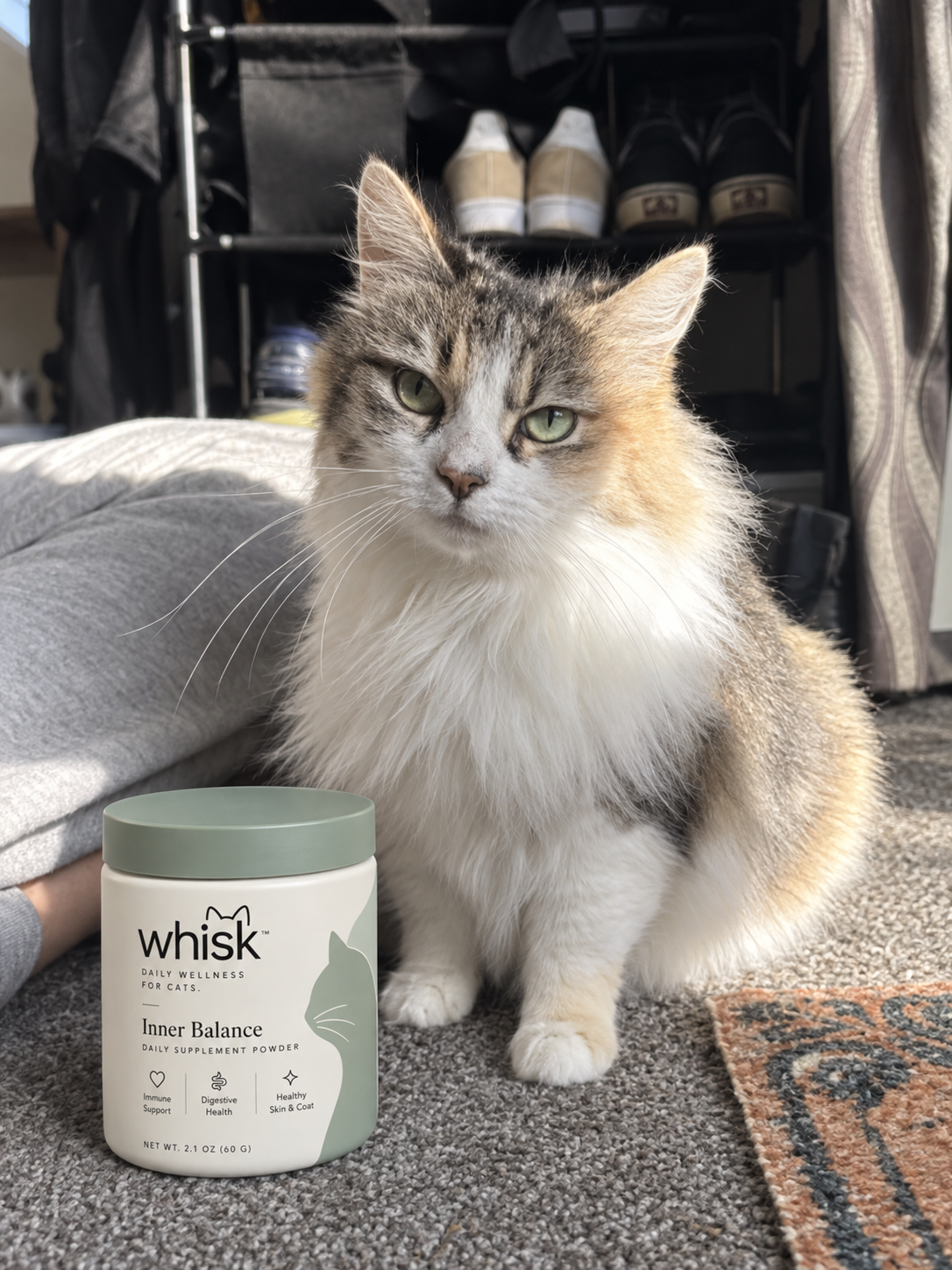 Customer cat with Whisk